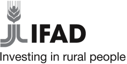 International Fund for Agriculture Development (IFAD) logo