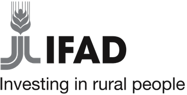 International Fund for Agriculture Development