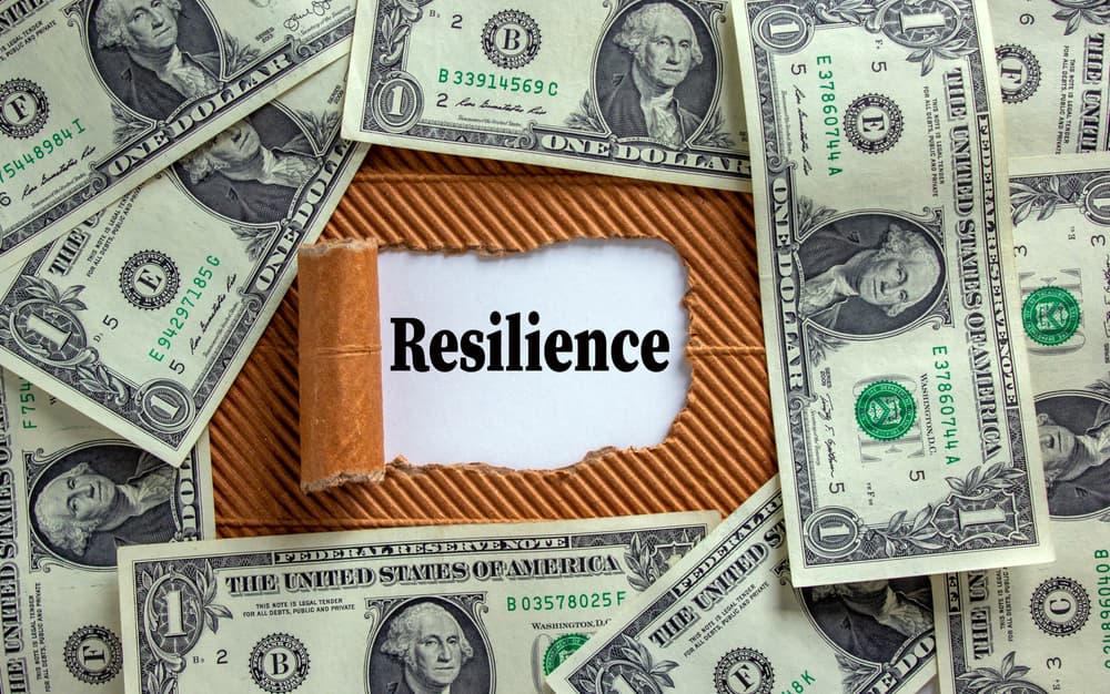 Financing Resilience