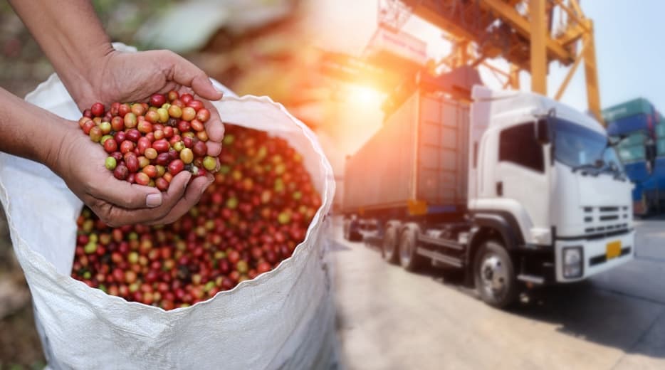 Resilient Sourcing & Procurement