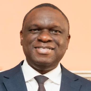 H.E. Mbelwa Brighton Kairuki