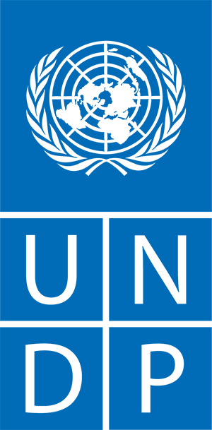 UNDP logo